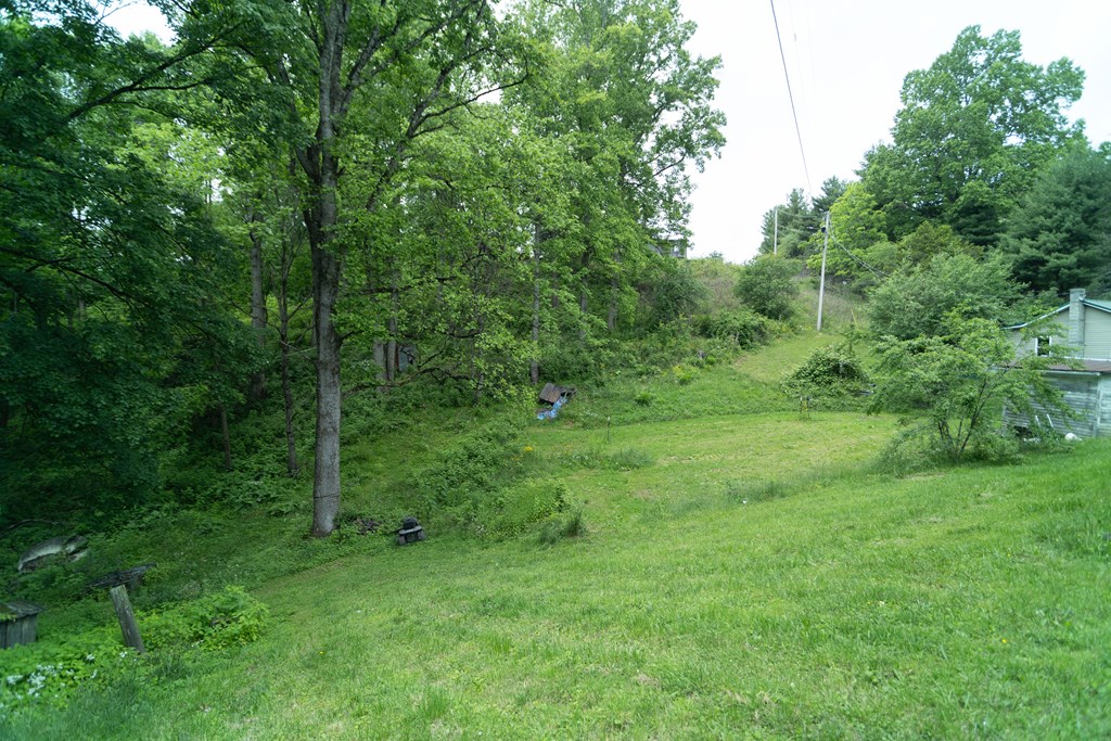 3195 Osborne Mountain Road Property Photo 31