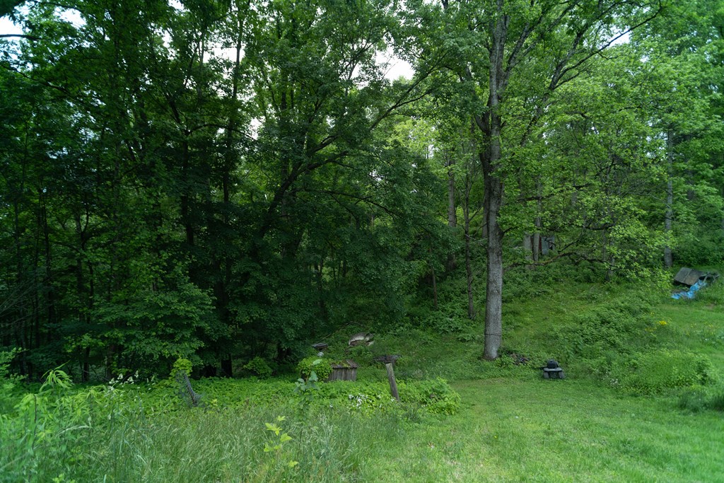 3195 Osborne Mountain Road Property Photo 32