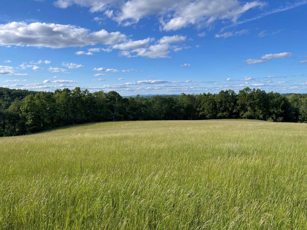 Tbd Frog Spur Rd Property Photo