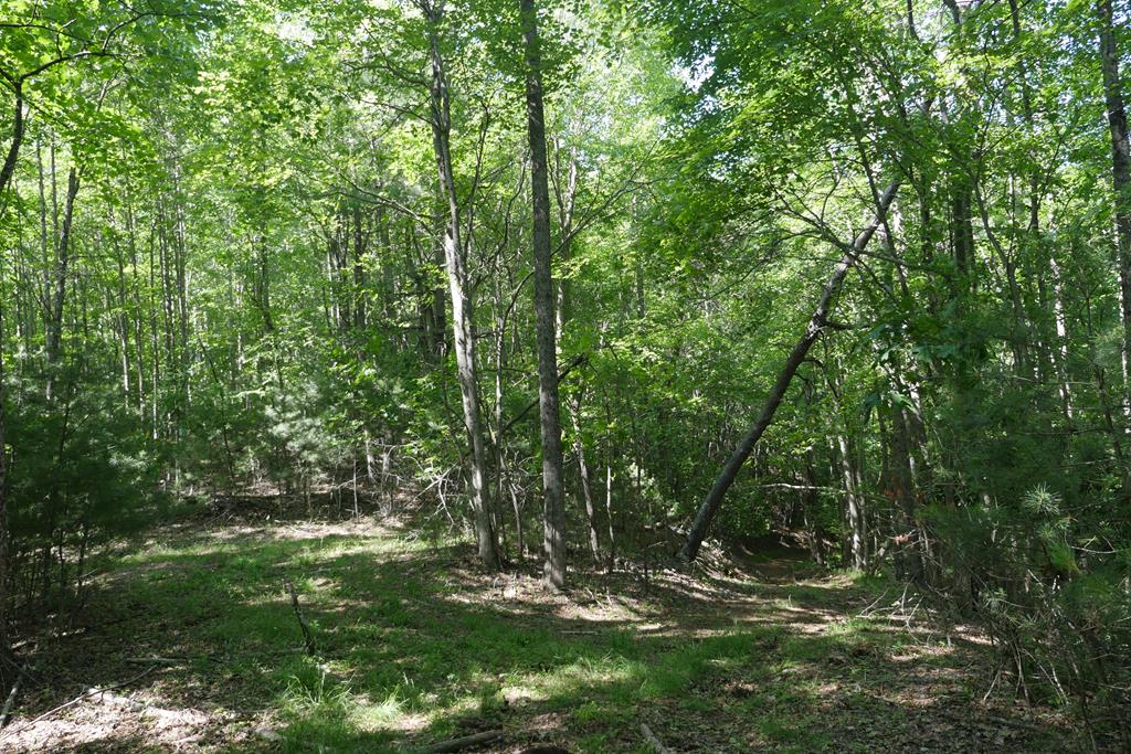 Tbd Bedsaul Road Property Photo