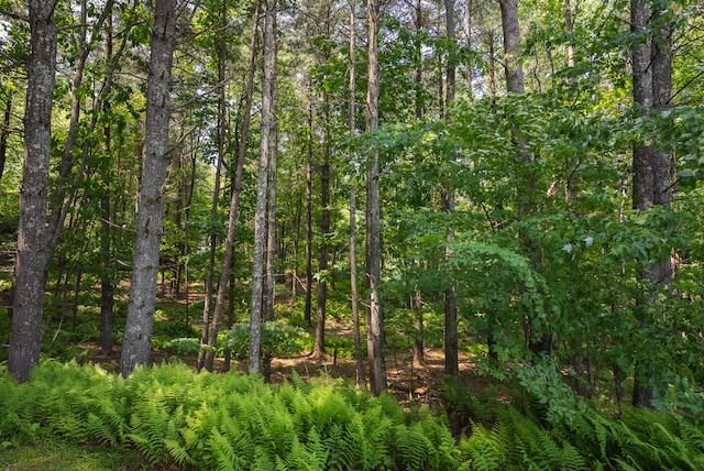 2716 Peaks Mountain Rd Property Photo 14