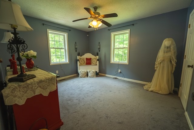 2716 Peaks Mountain Rd Property Photo 36