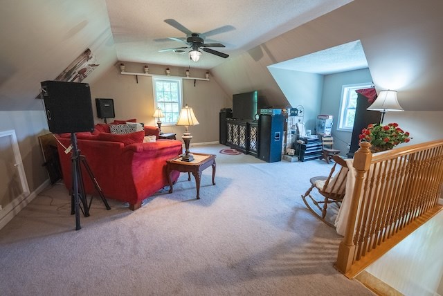 2716 Peaks Mountain Rd Property Photo 42
