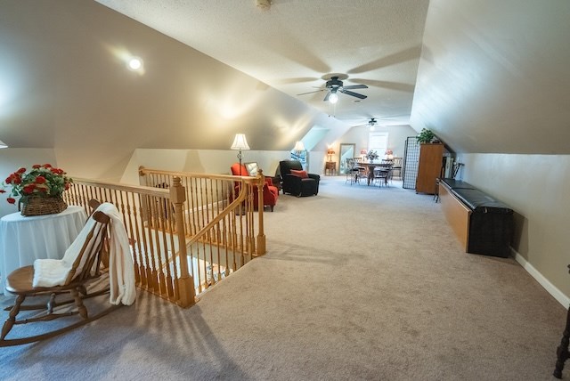 2716 Peaks Mountain Rd Property Photo 44