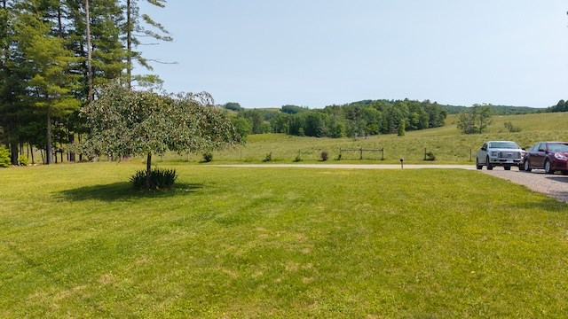 2716 Peaks Mountain Rd Property Photo 45
