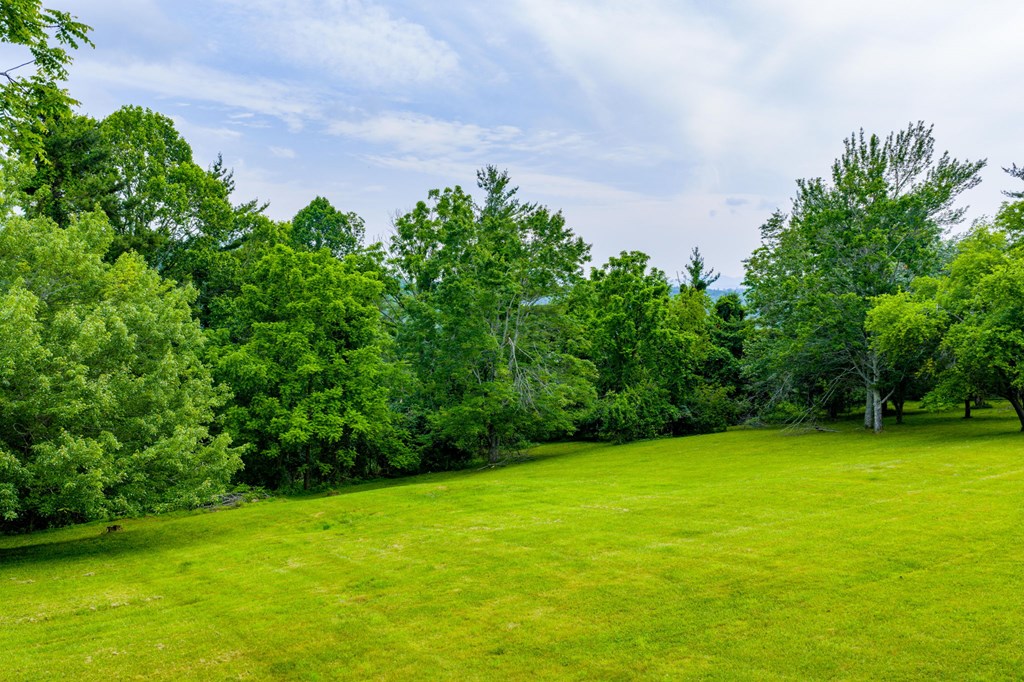 45 Bailey Property Photo 48