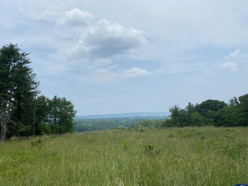 501 Barrett Mill Road Property Photo 1
