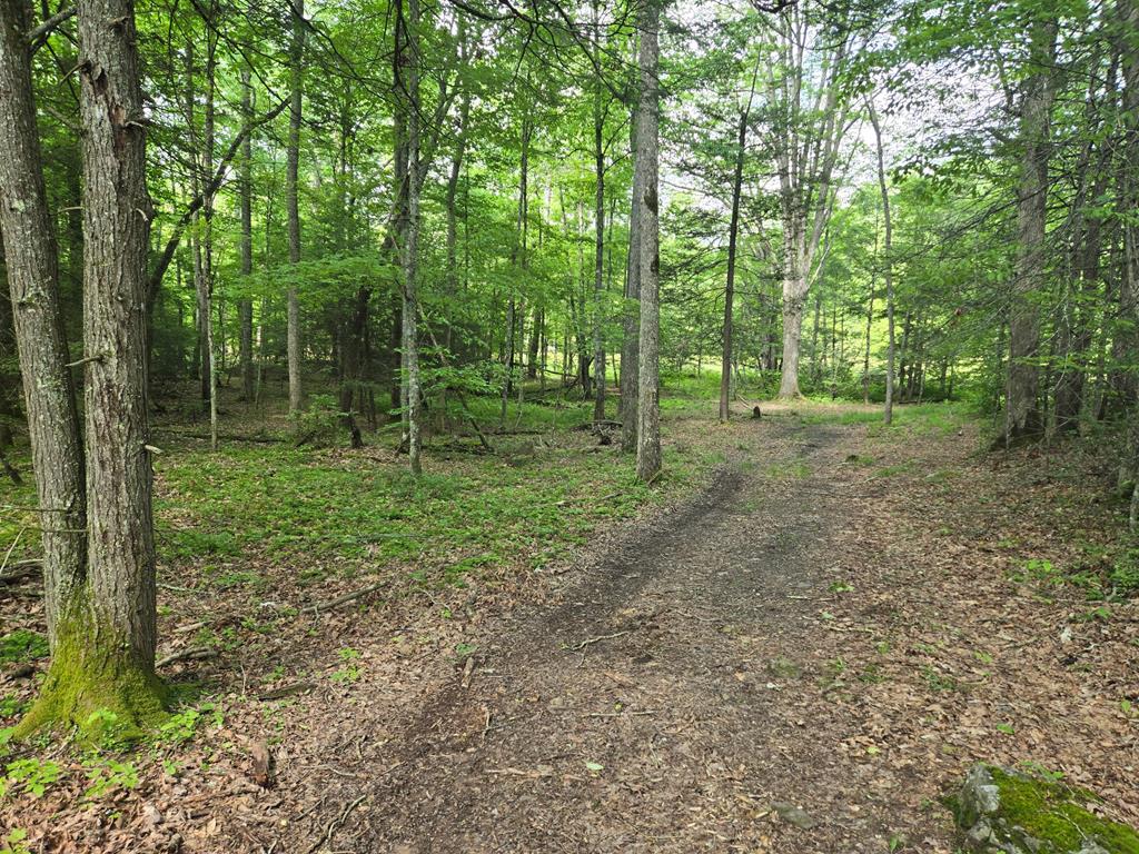 Tbd Poor Valley Rd Property Photo 1