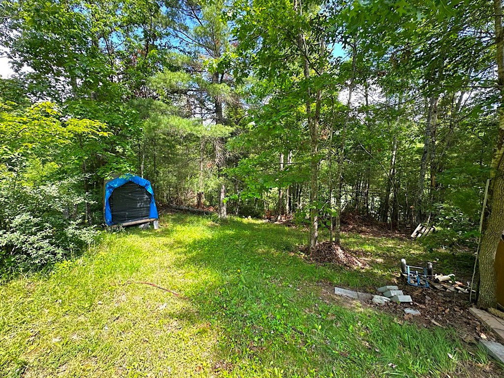 3863 Crockett's Cove Rd. Property Photo 17