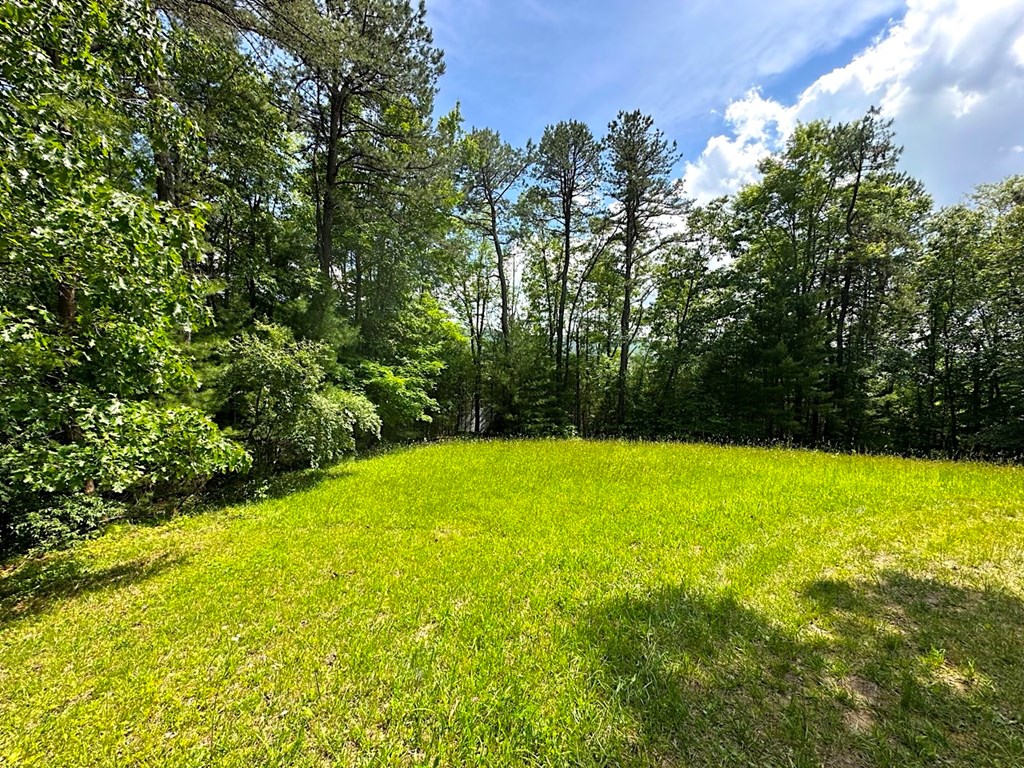 3863 Crockett's Cove Rd. Property Photo 24