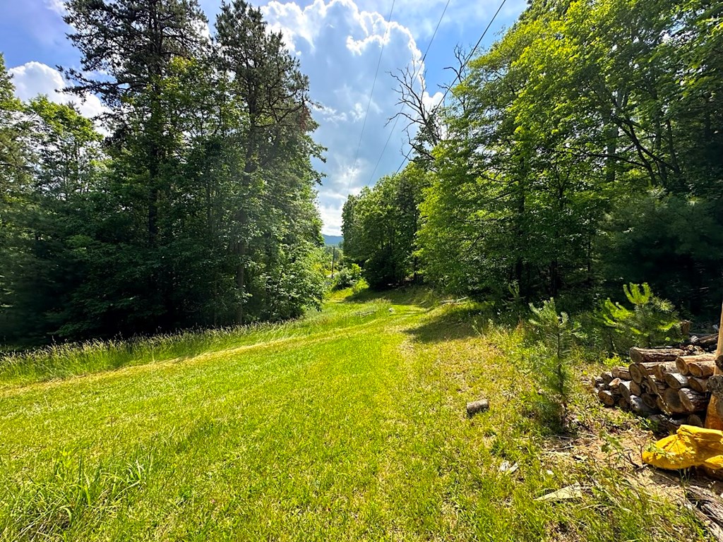 3863 Crockett's Cove Rd. Property Photo 34