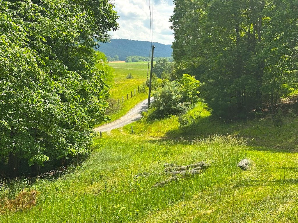 3863 Crockett's Cove Rd. Property Photo 36