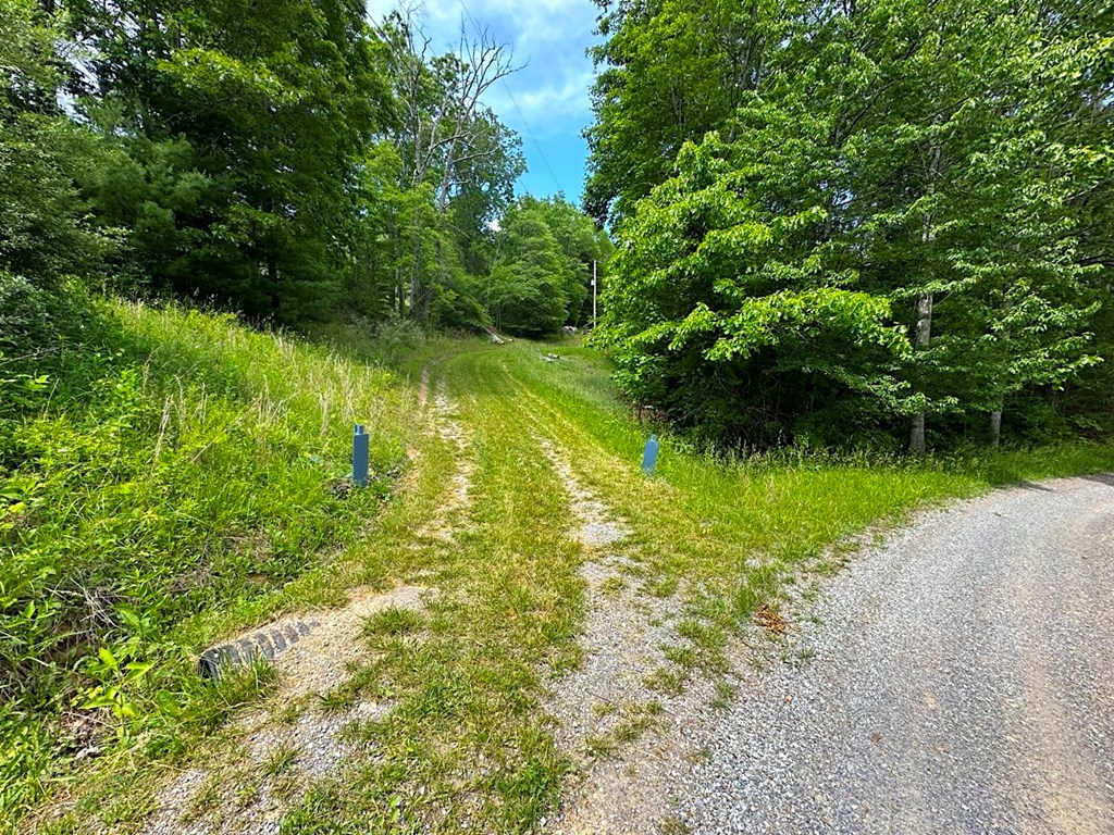 3863 Crockett's Cove Rd. Property Photo 37