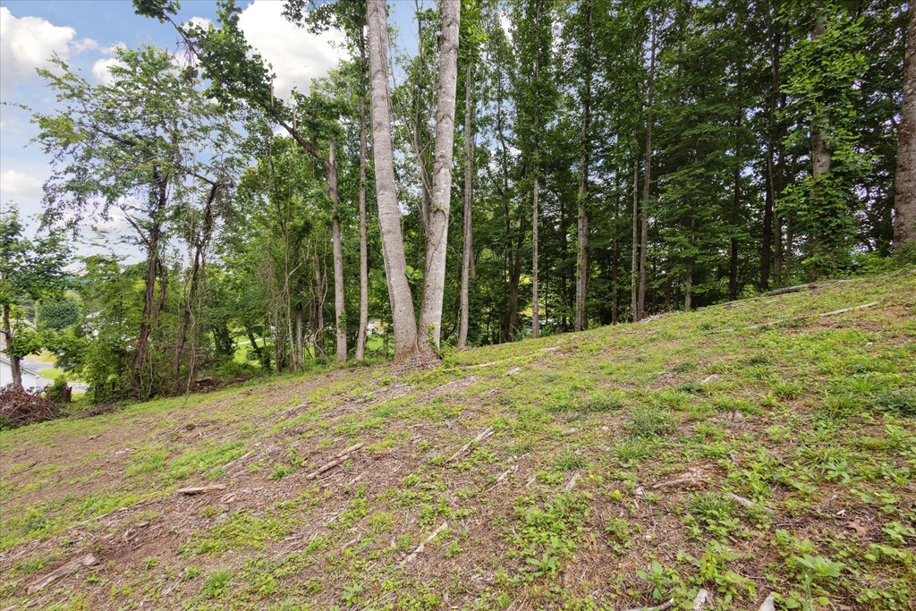 26417 Old Saltworks Road Property Photo 5