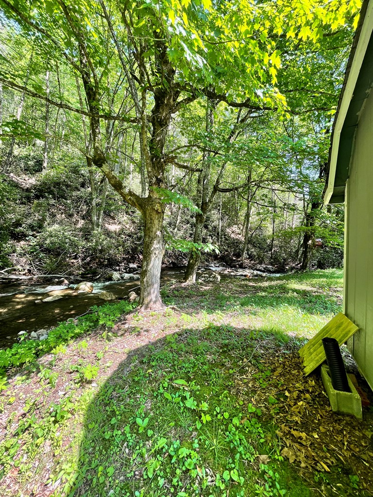 836 Helton Creek Ln Property Photo 33