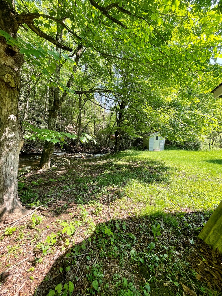 836 Helton Creek Ln Property Photo 34