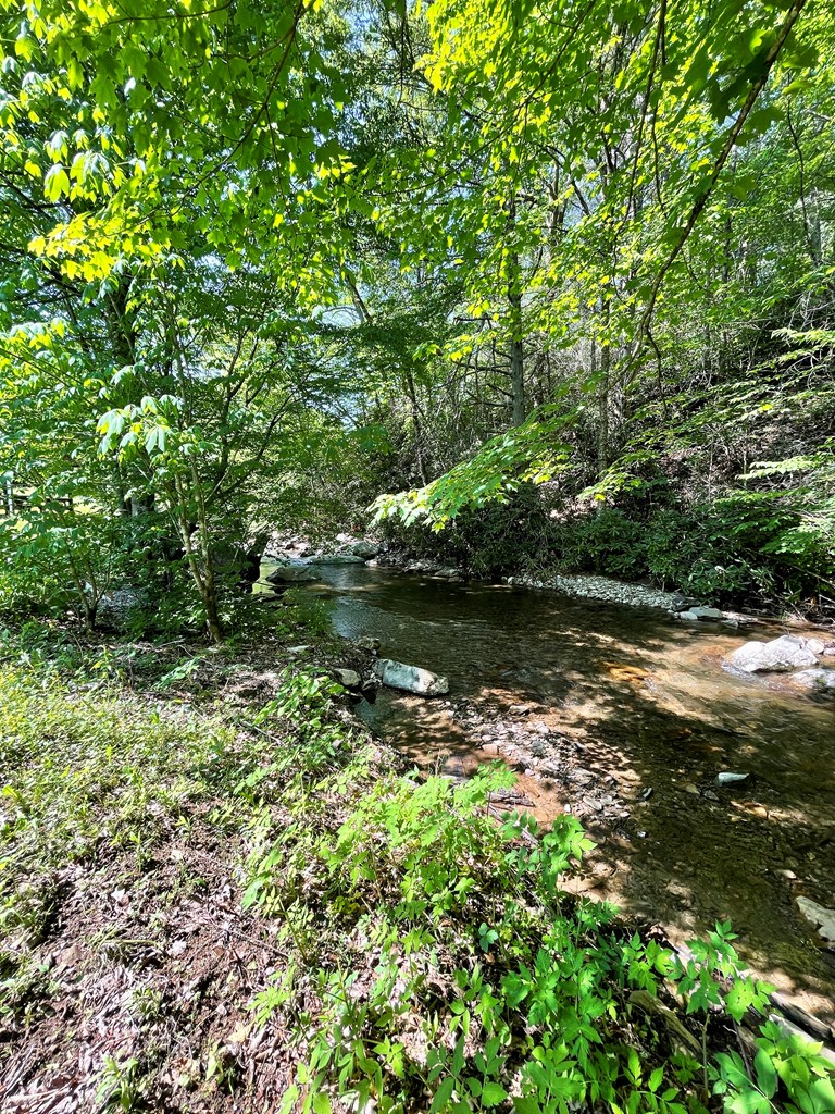 836 Helton Creek Ln Property Photo 35