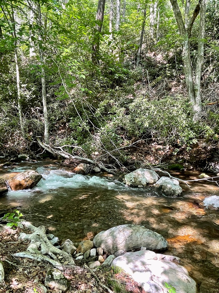 836 Helton Creek Ln Property Photo 37