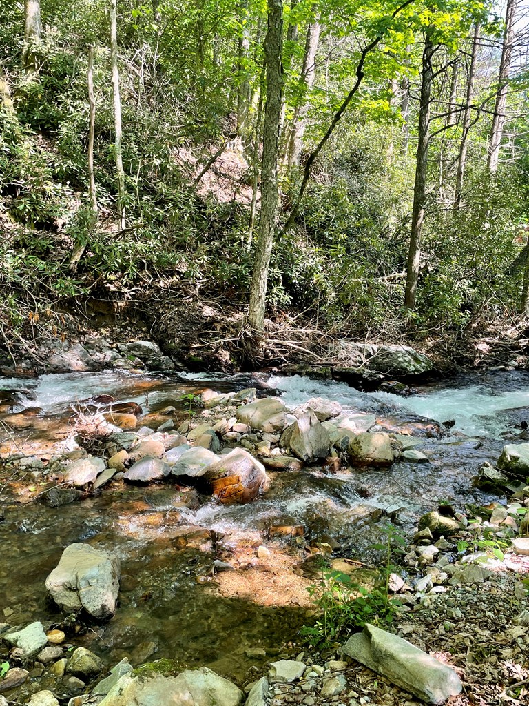 836 Helton Creek Ln Property Photo 38