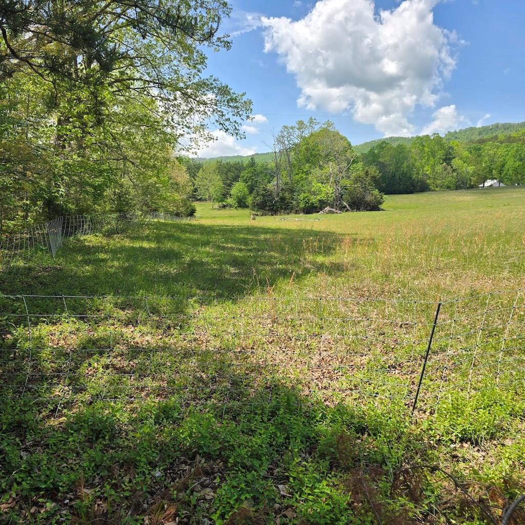 Tbd Flatwoods Rd Property Photo 1