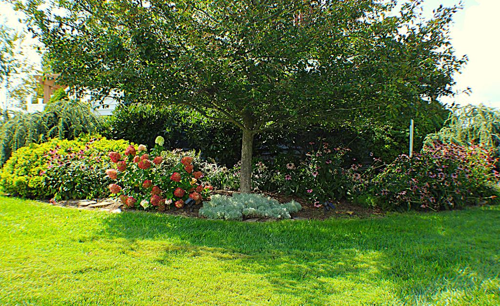 339 Hangar Road Property Photo 9