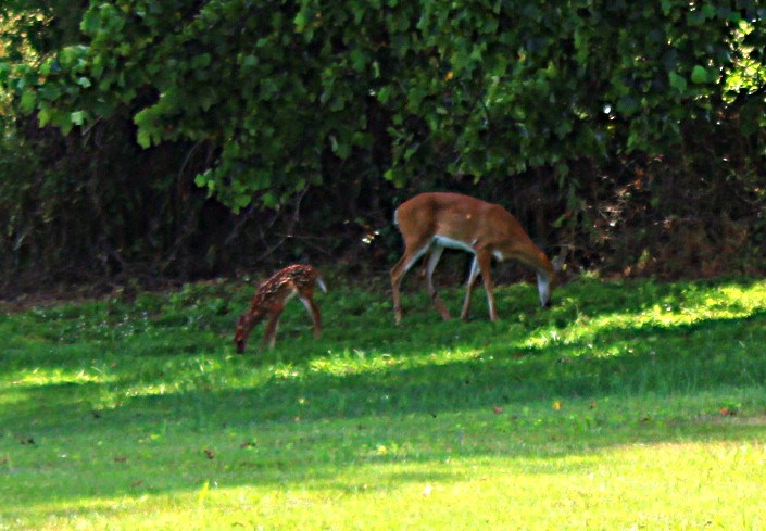 339 Hangar Road Property Photo 40