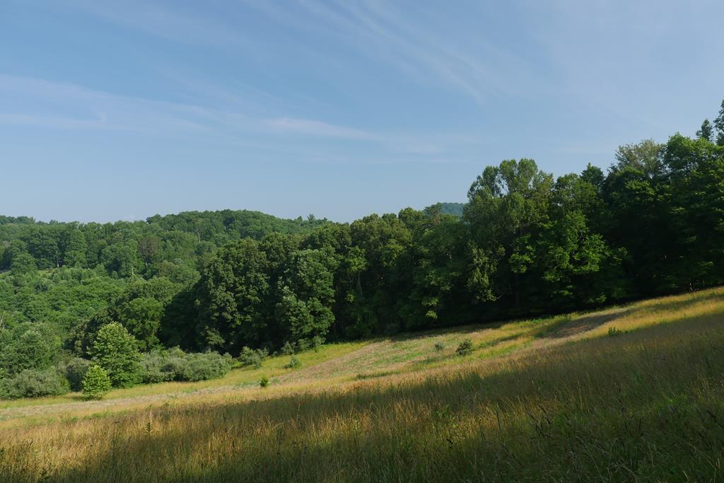 Tbd Veterans Memorial Highway Property Photo 1
