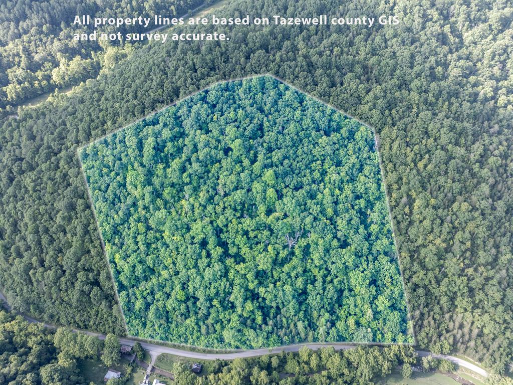 Tbd Dry Fork Road Property Photo 1