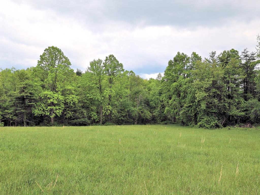 Tbd Se Franklin Pike Property Photo 1