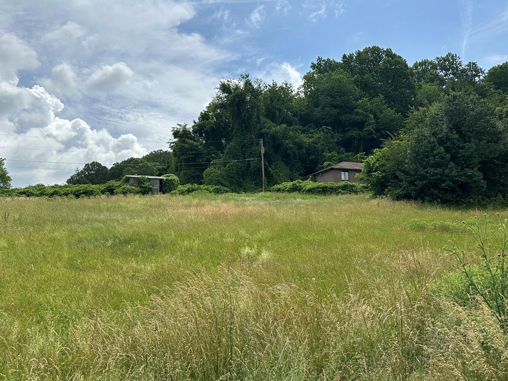 28226 Hillman Highway Property Photo 1