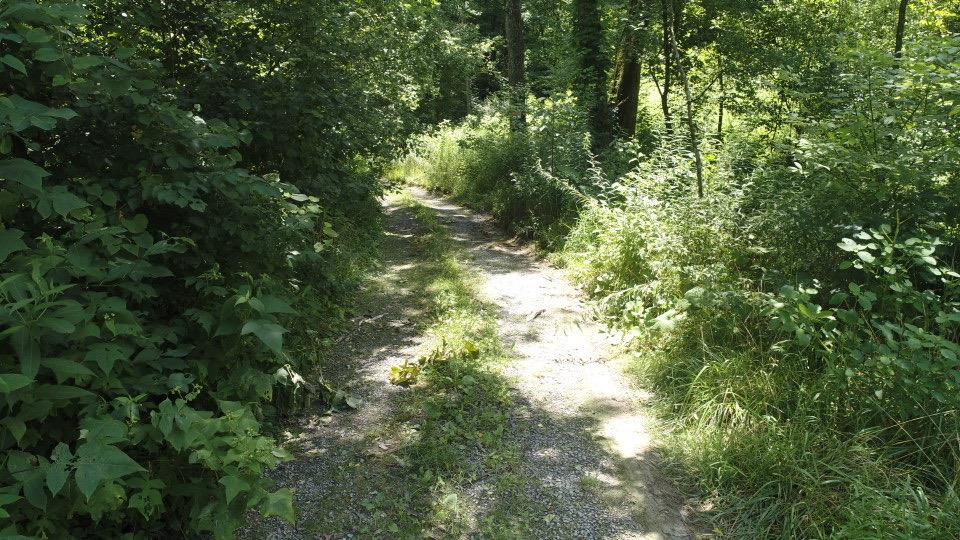 Tbd Pocahontas Trail Property Photo 1