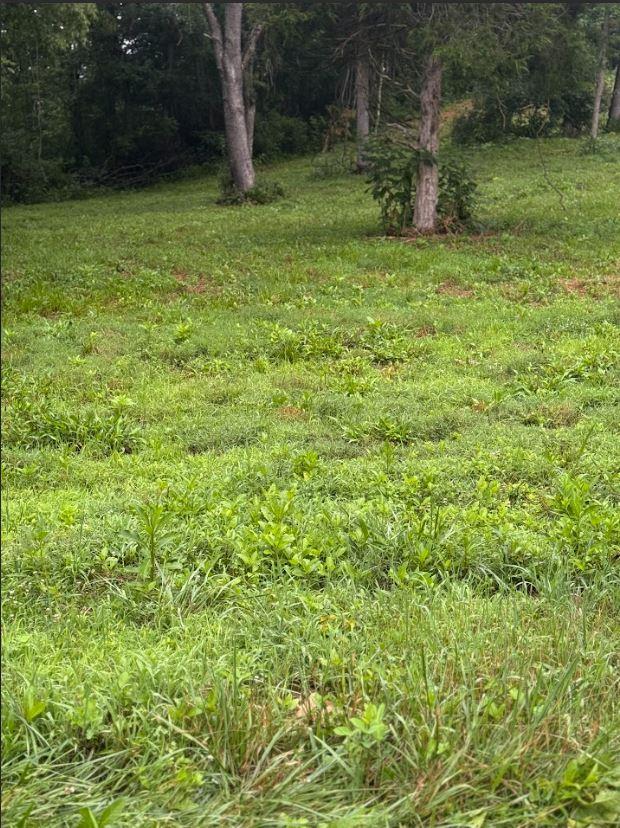 100631 Property Photo 1