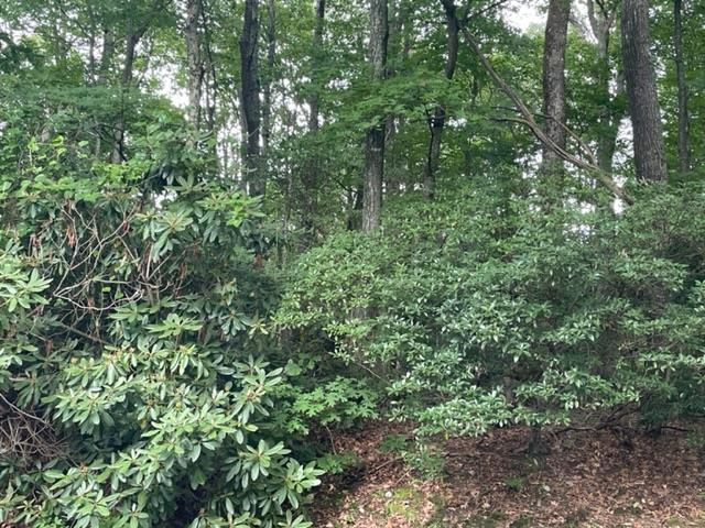 Tbd Dogwood Trail Property Photo 1
