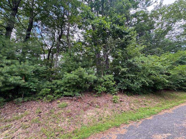 Tbd Antler Point Property Photo 1