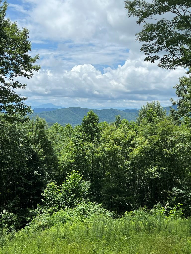 TBD Holiday Lane Property Photo 1