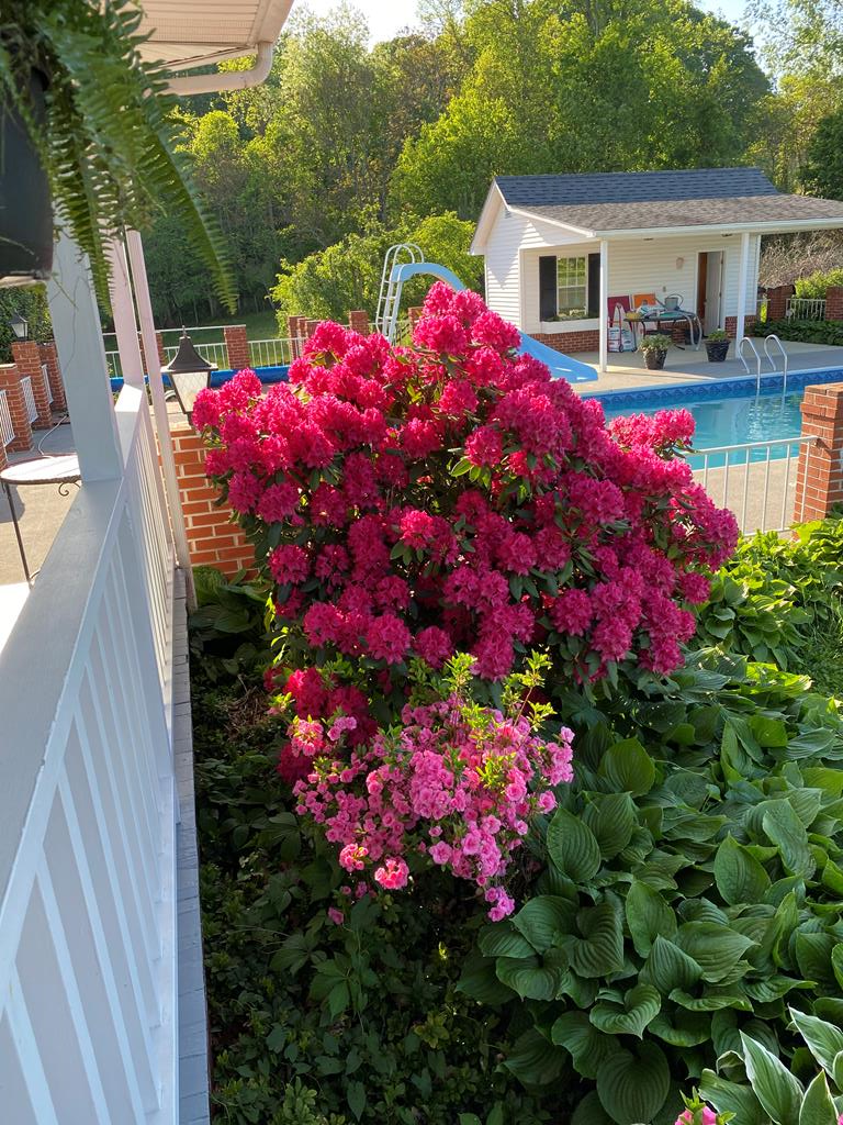 641 Vaughn Brooks Rd. Property Photo 79