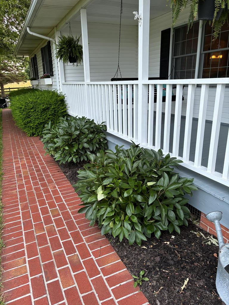 641 Vaughn Brooks Rd. Property Photo 87