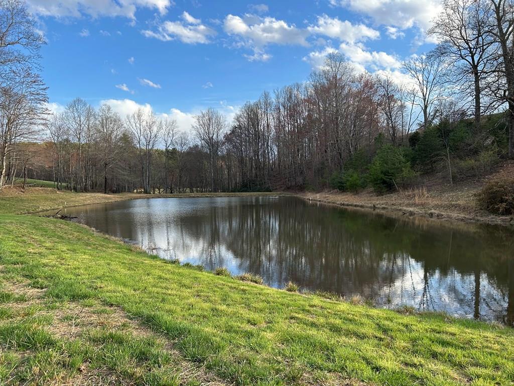 Tbd Ike Slate Lane Property Photo 1