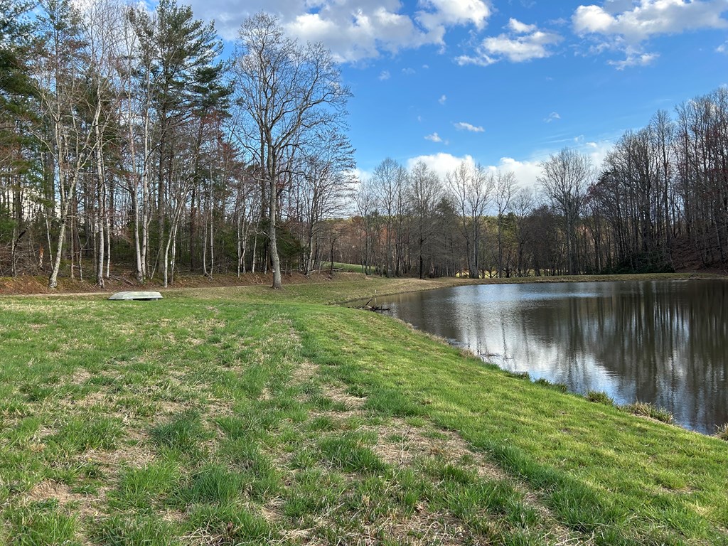 Tbd Ike Slate Lane Property Photo 9