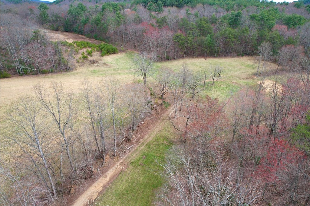 Tbd Ike Slate Lane Property Photo 11