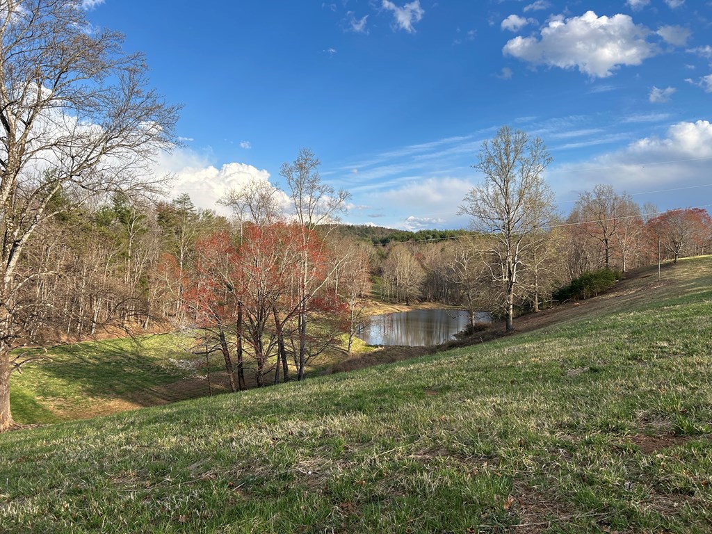 Tbd Ike Slate Lane Property Photo 16