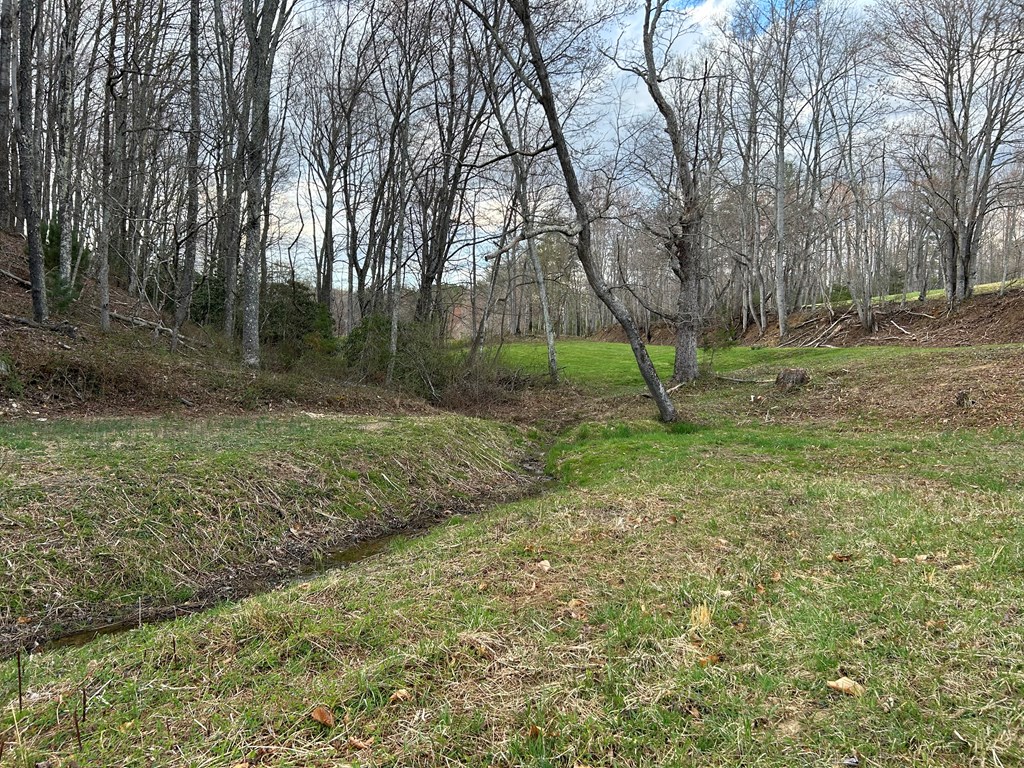 Tbd Ike Slate Lane Property Photo 18