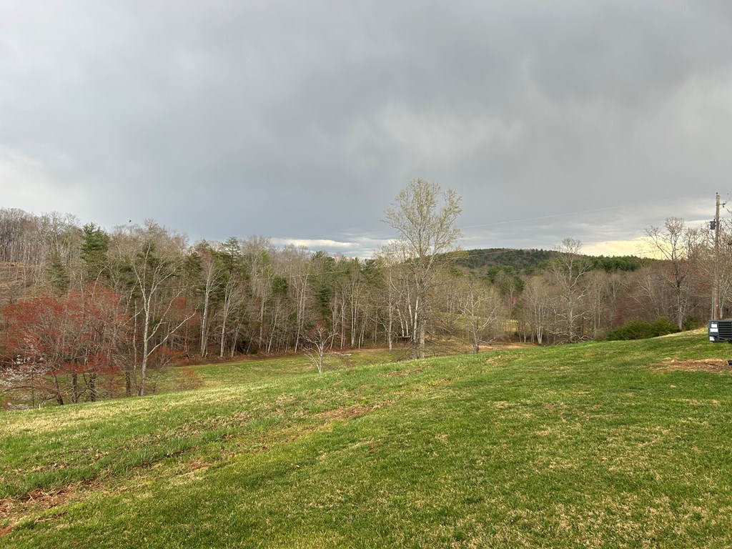 Tbd Ike Slate Lane Property Photo 19