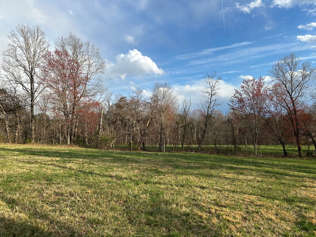 Tbd Ike Slate Lane Property Photo 22