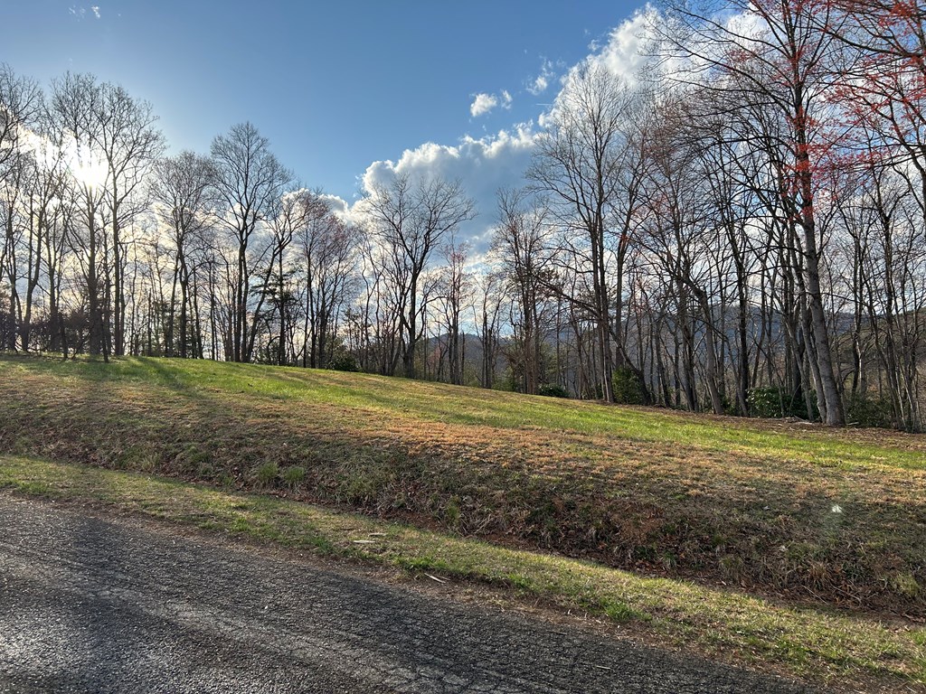 Tbd Ike Slate Lane Property Photo 24