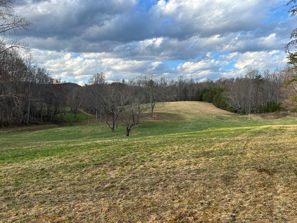 Tbd Ike Slate Lane Property Photo 26