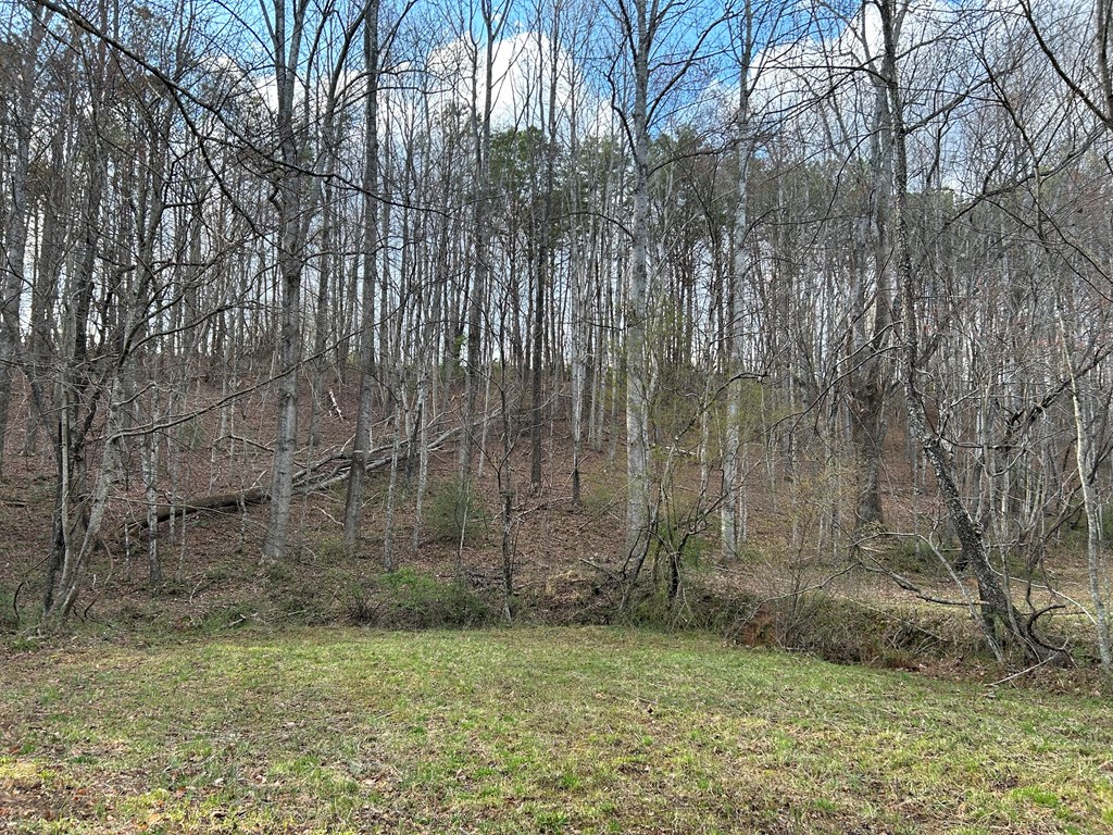 Tbd Ike Slate Lane Property Photo 31