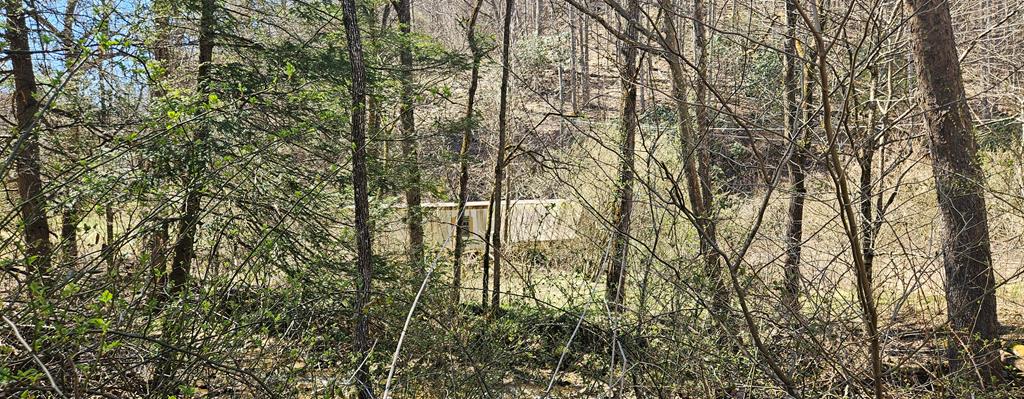 3687 Old Kentucky Turnpike Rd Property Photo 1