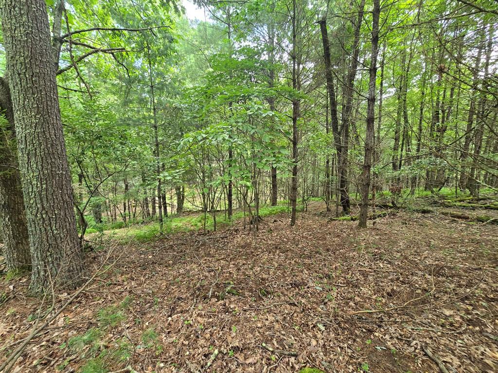 Tbd Summerset Dr. Property Photo 1
