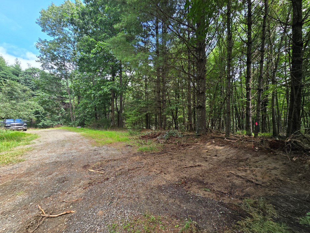 Tbd Summerset Dr. Property Photo 3